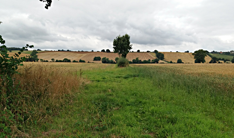 Waypoint 21a
